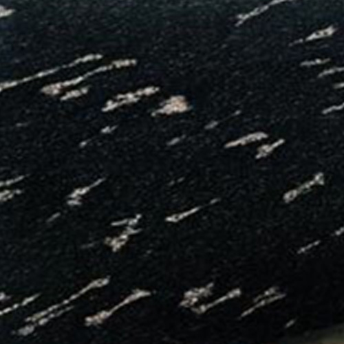 Coin Black