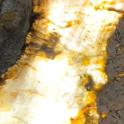 ALASKA PETAGONIA WITH LIGHT